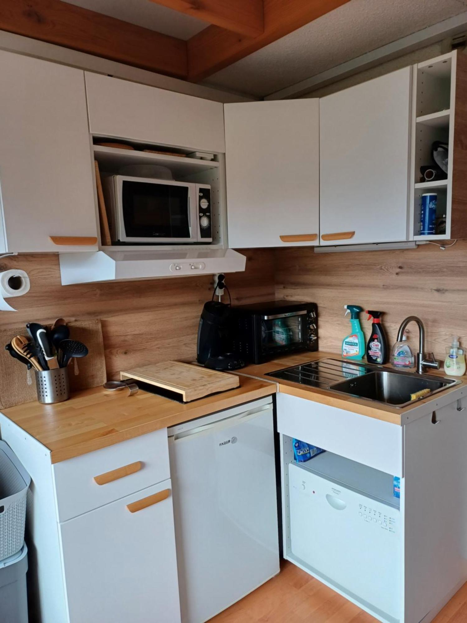 Avec Wifi - Studio En Pleine Nature Puyvalador Dış mekan fotoğraf